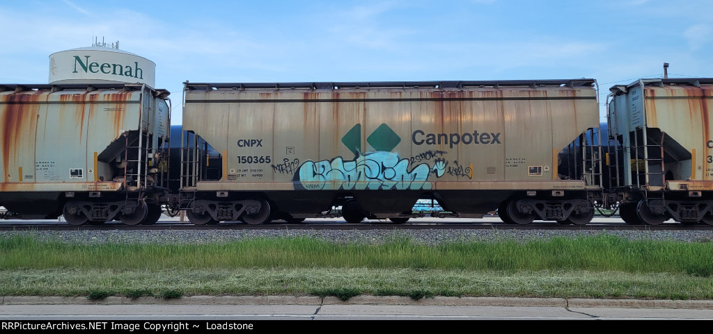 CNPX 150365